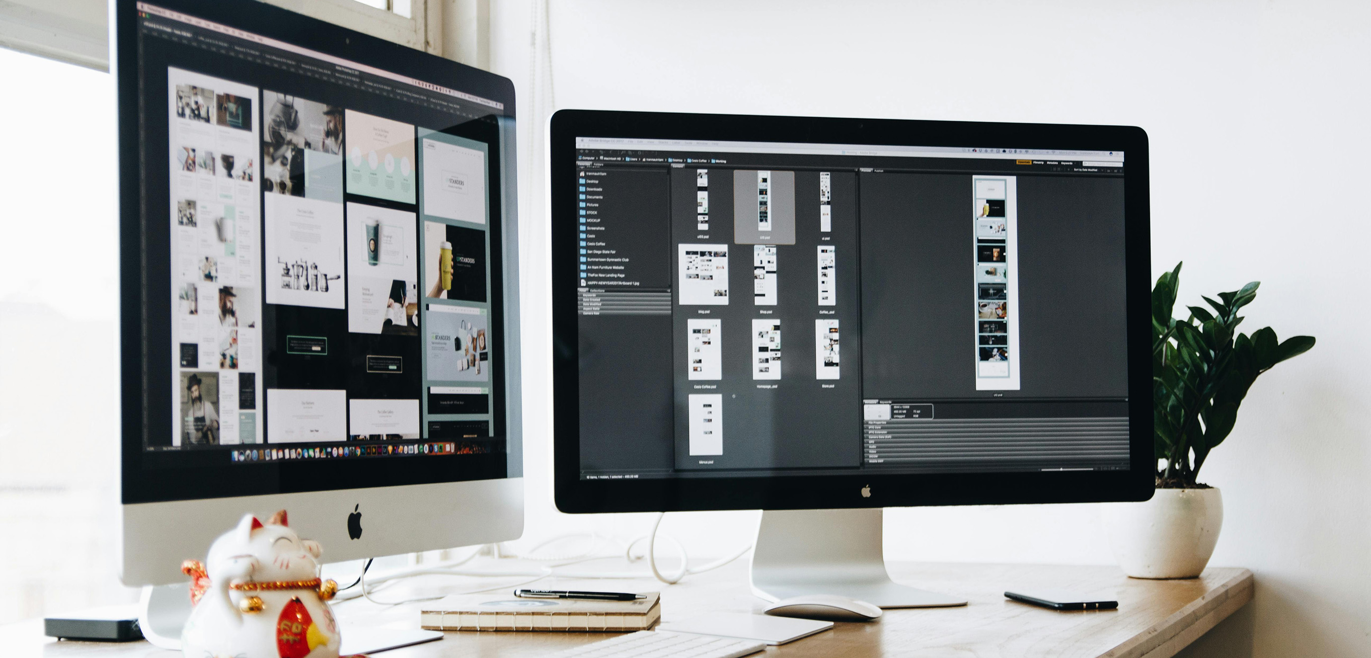 Website Design